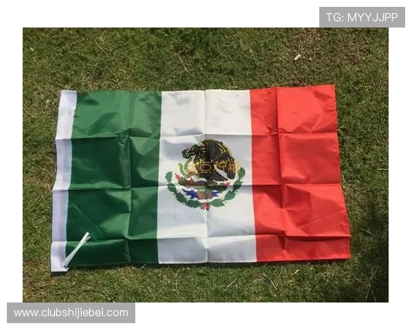 最新世界杯参赛国家国旗图片欣赏，帮助球迷快速识别各国代表旗帜